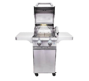 Saber Elite Series 2-Burner Gas Grill