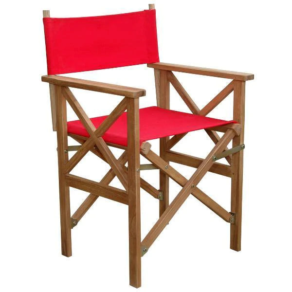 Director Folding Armchair with Canvas