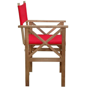 Director Folding Armchair with Canvas